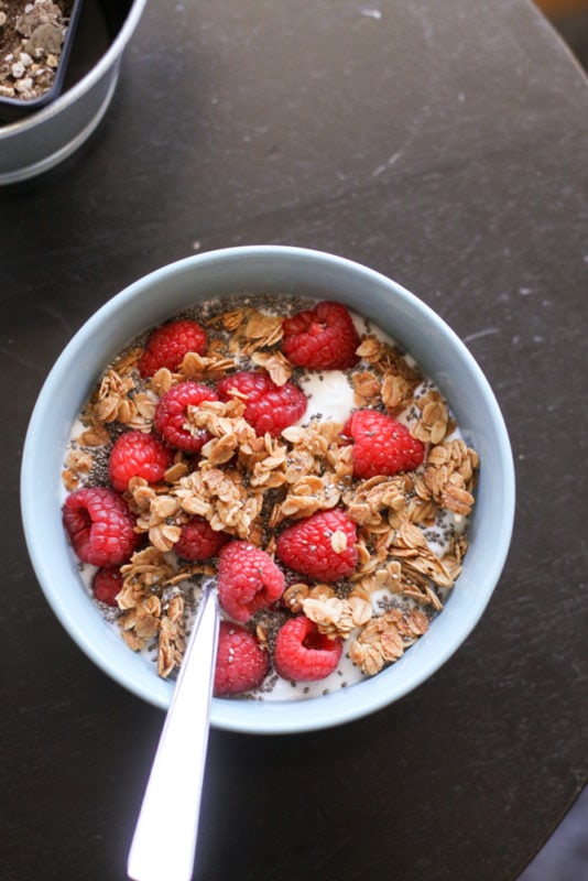 bowl of yogurt and granola.