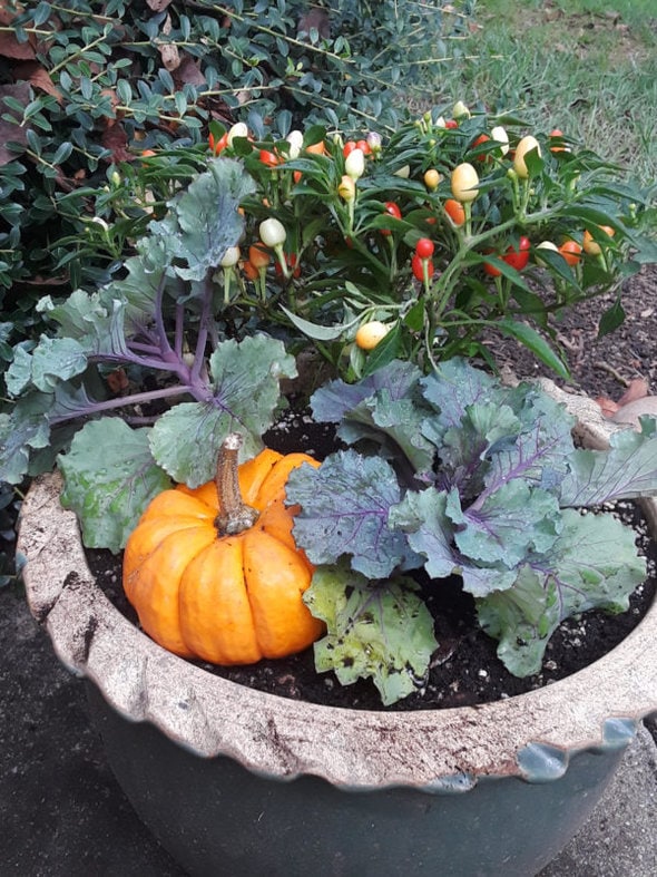 fall planter.