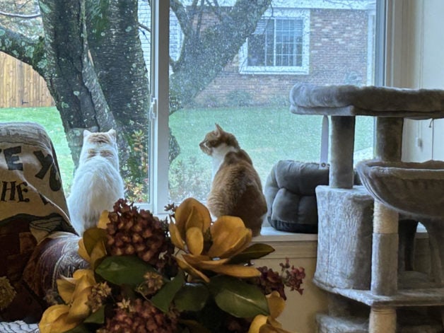 screened-in porch.