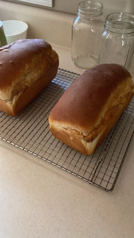 two laoves of cinnamon bread.