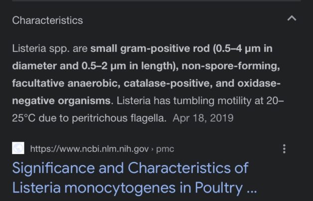 description of listeria bacteria.