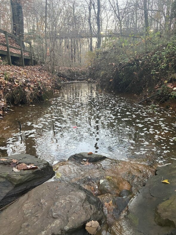 creek in the woods.