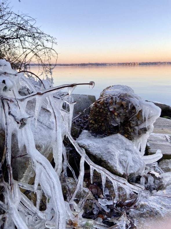 ice by a shoreline.