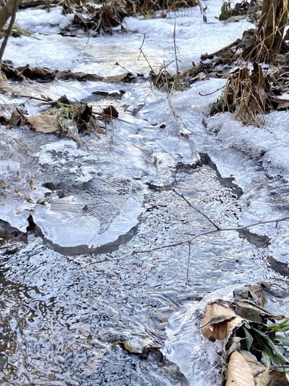 creek surrounded by ice.