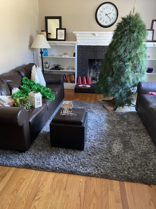 Christmas tree in living room.