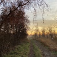 sunrise on a walking trail.