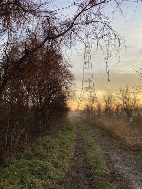 sunrise on a walking trail.