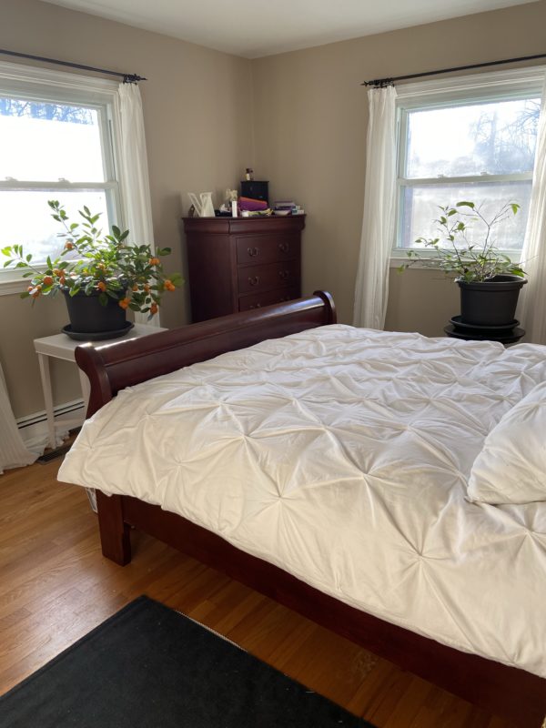 bedroom with two windows.