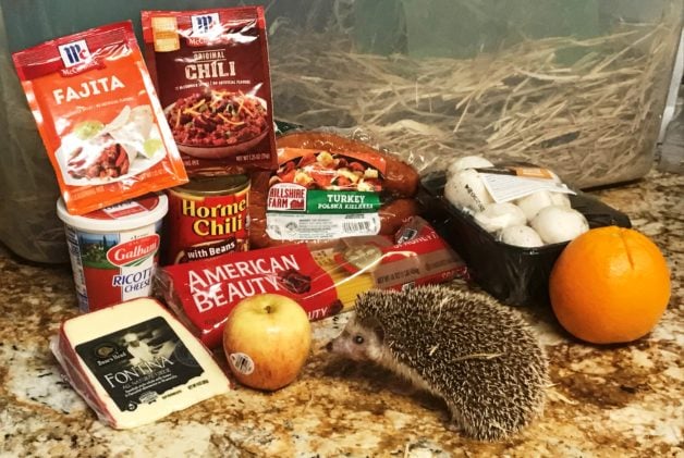 groceries with hedgehog