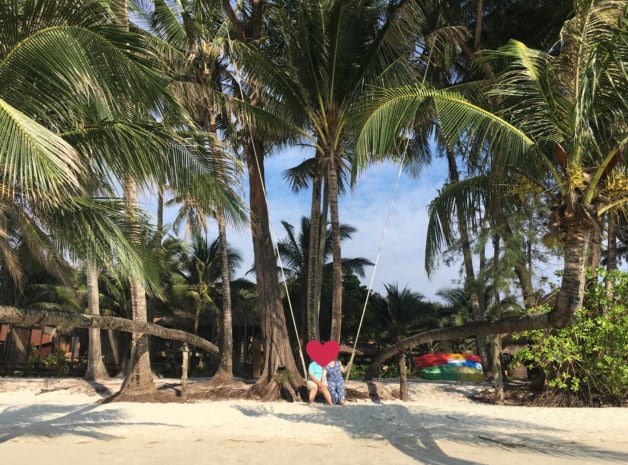 palm trees on beach.