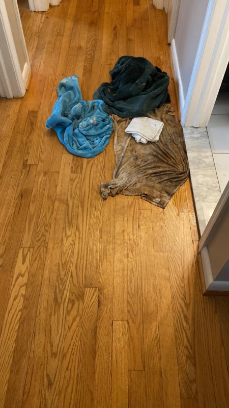 plumbing flood.