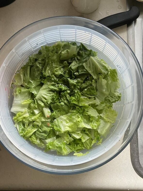 lettuce in salad spinner.