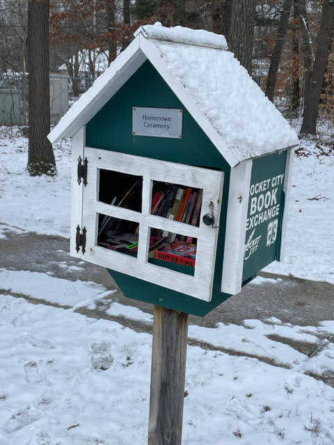 little free library in the snow.
