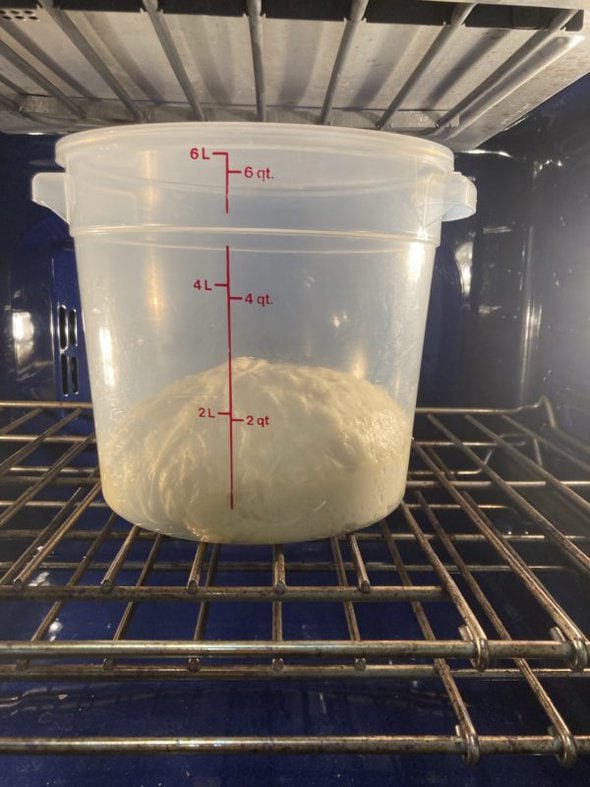 rising bread dough.