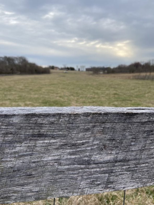 cloudy morning on a farm.