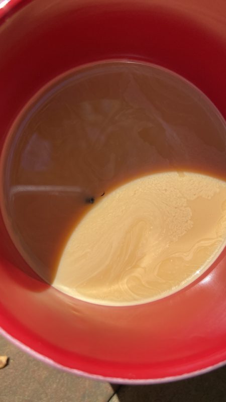 coffee with a bug in it.