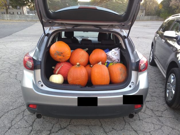 pumpkins in hatchback.