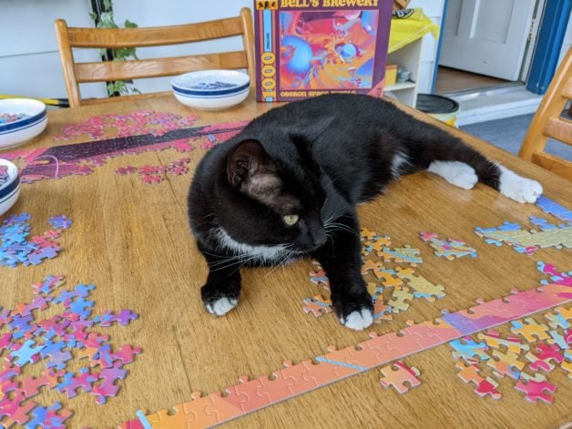 cat on a puzzle.