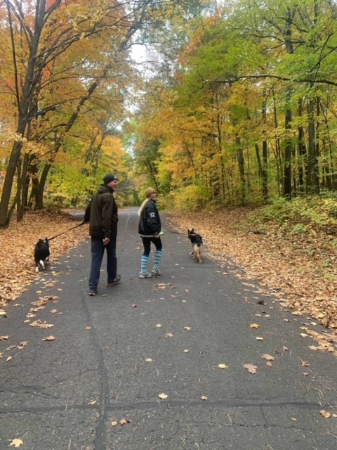 walking dogs on a fall trail.