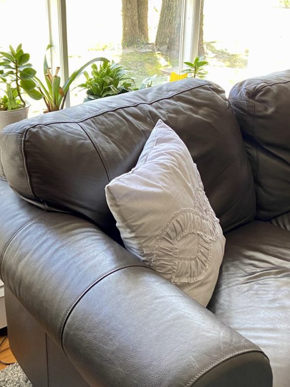couch with throw pillow.