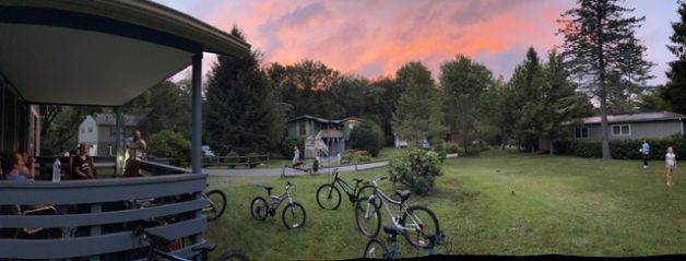 Bikes in a field.