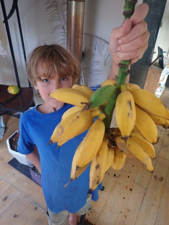 kid with bananas.