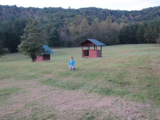 field in the fall.