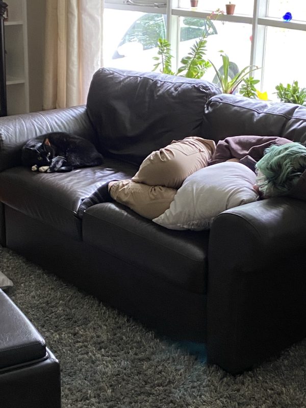 cat on couch with Zoe.