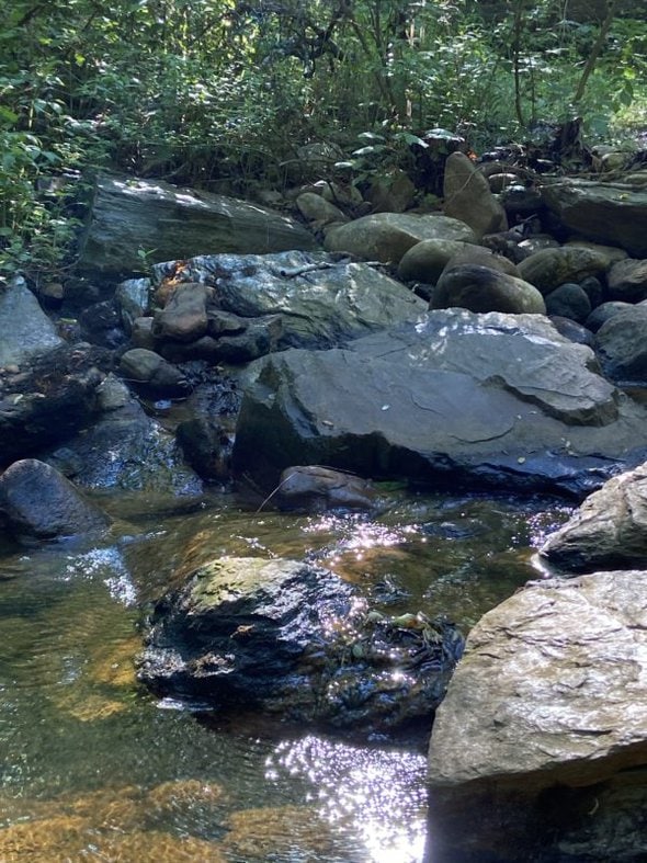 sunshine sparkling on a creek.