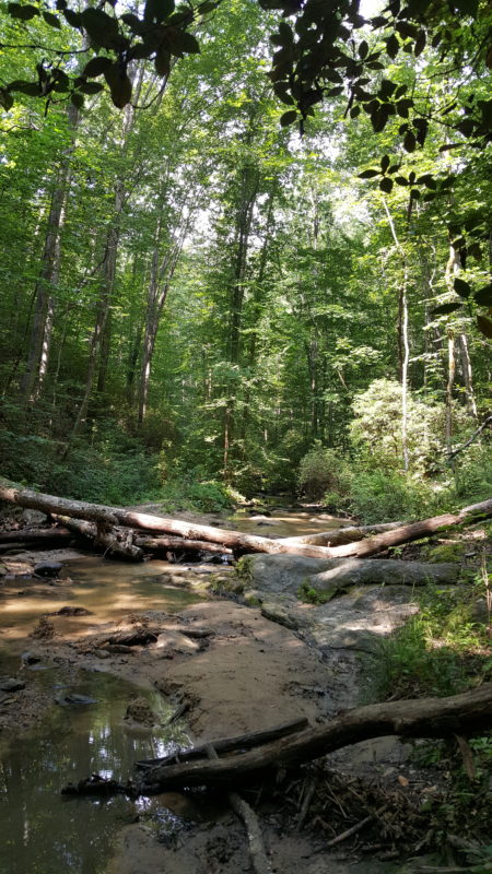 hiking trail.