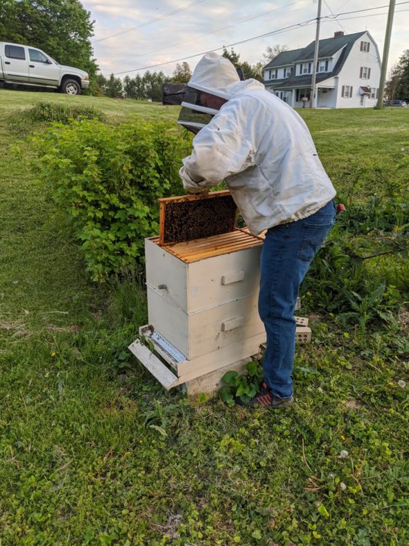 man doing beekeeping.