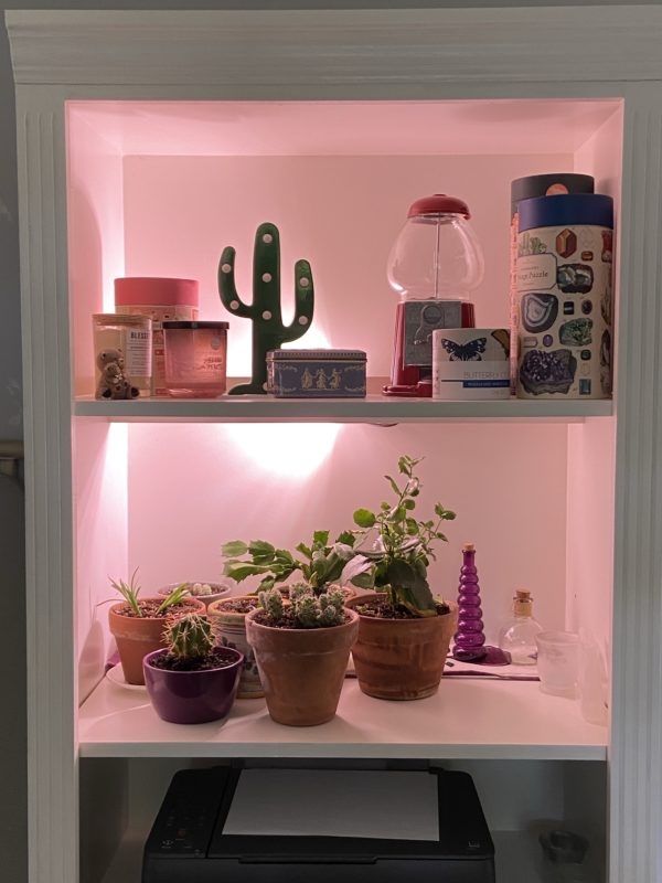 bookshelf with plant light.