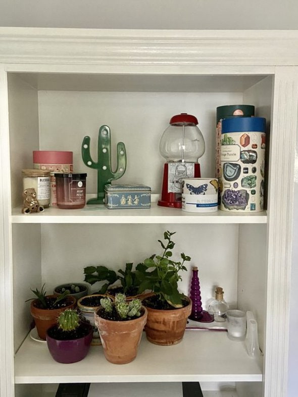 shelf with plants.