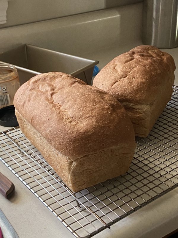 two loaves of whole wheat bread.