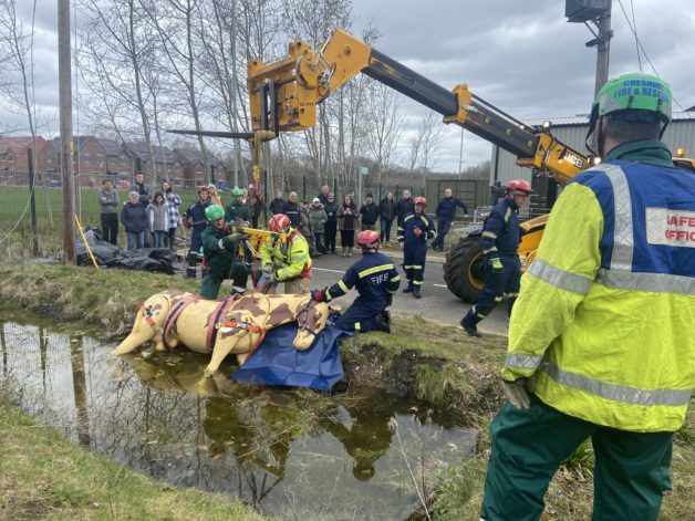 mock horse rescue from water.