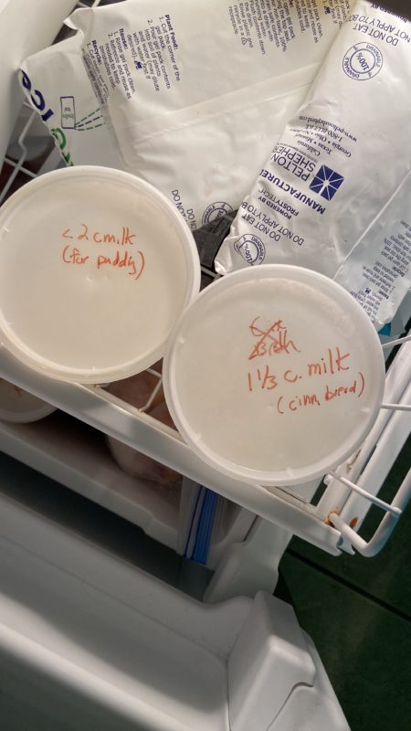 frozen milk containers.