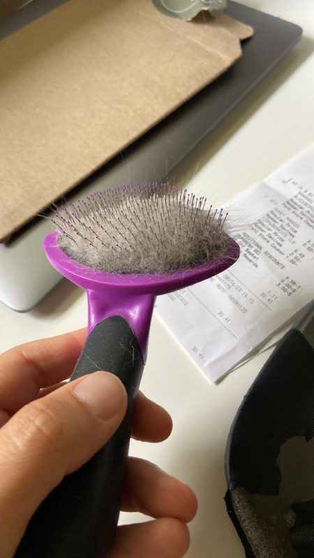 cat brush.