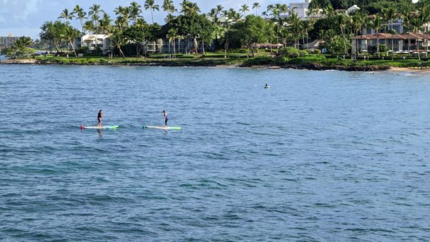 paddleboard yoga.