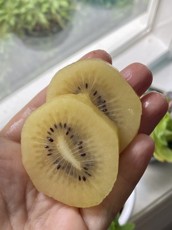 golden kiwi.