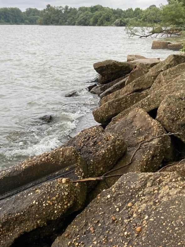 rocky coastline.