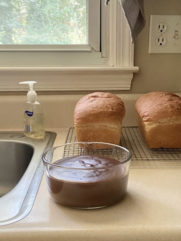 chocolate pudding in a bowl.