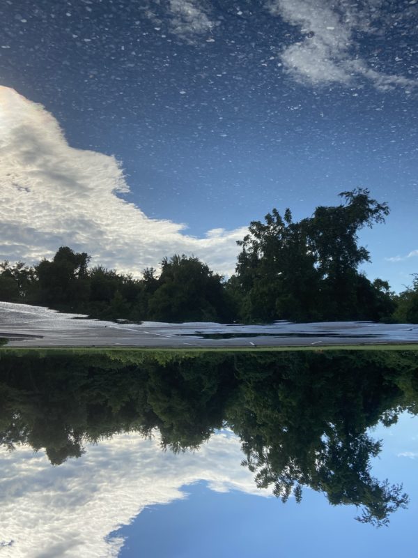 puddle reflection.