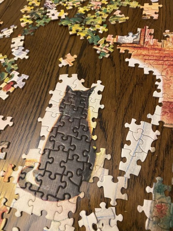 cat puzzle.