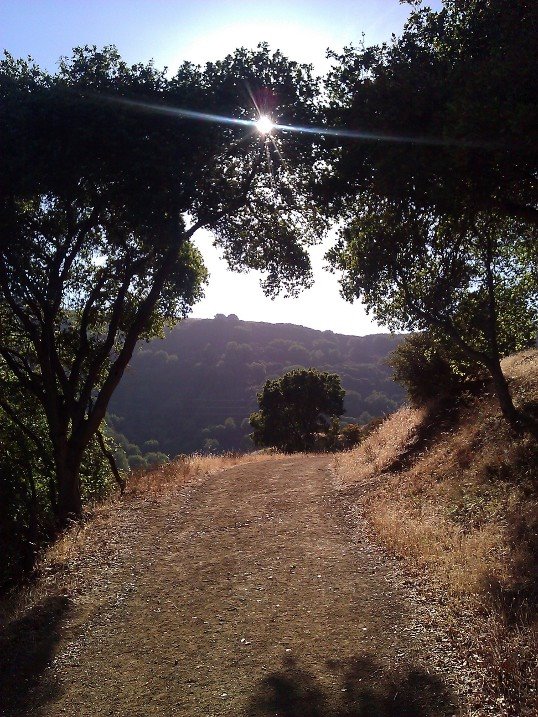 running path in California.