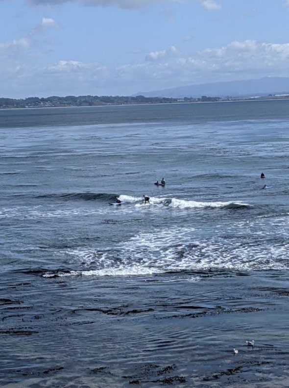 people surfing.