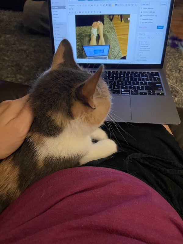 cat on Kristen's lap.