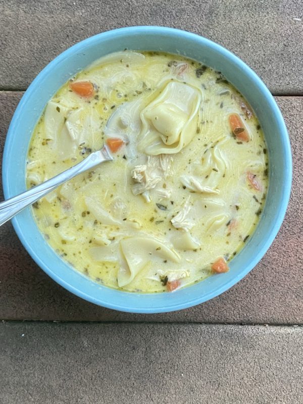 chicken noodle soup.