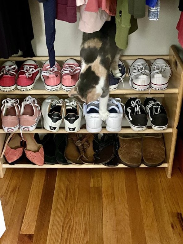 shoe rack.