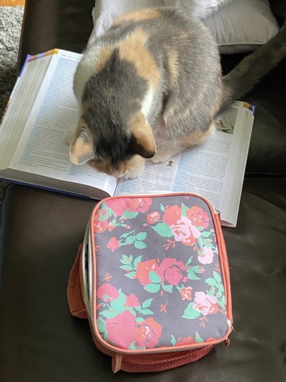 flowered lunchbox.