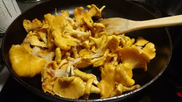 chanterelle mushrooms in pan.